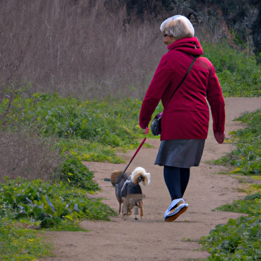 אישה מבוגרת מטיילת בשמחה עם הכלב שלה בפארק, ומציגה את הפעילות הגופנית שחיות מחמד יכולות לעודד.