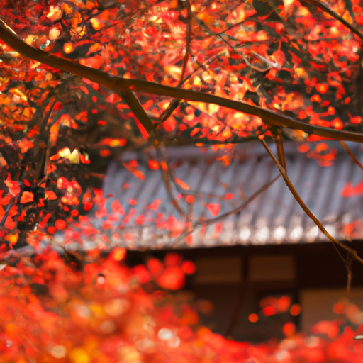 נוף סתווי תוסס עם עלווה אדומה וכתומה במקדש יפני