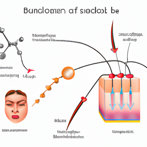 1. המחשה המדגימה את המבנה המולקולרי של הבוטוקס וכיצד הוא יוצר אינטראקציה עם זקיקי שיער.